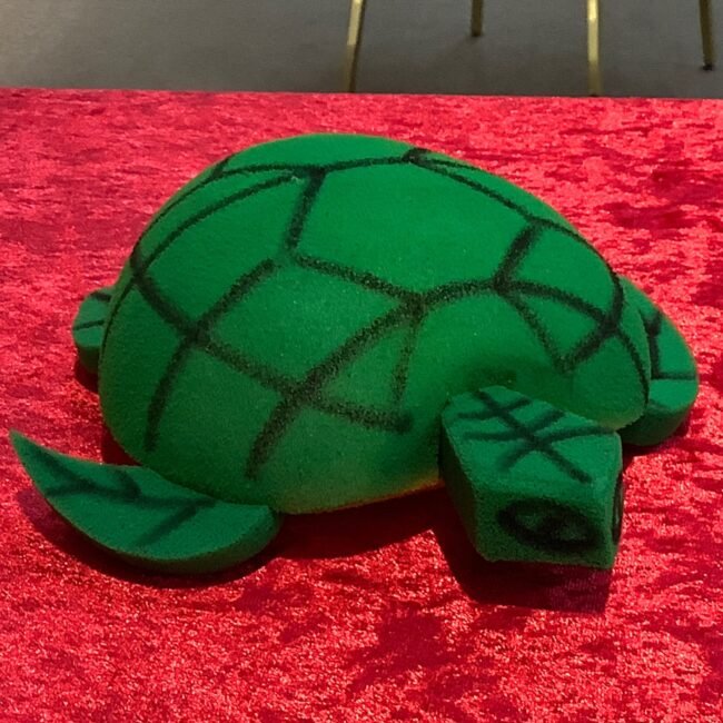 Egg to Sponge Tortoise