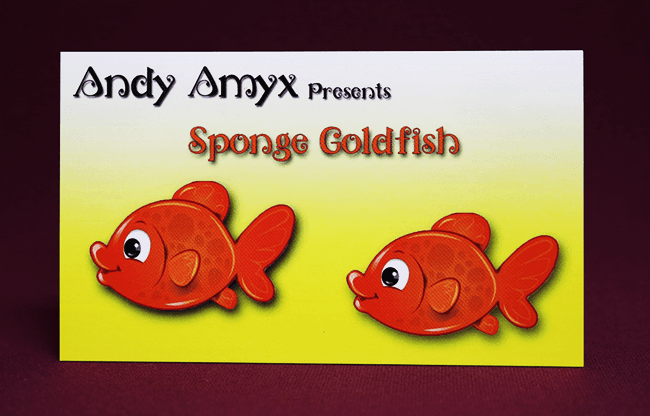Sponge Goldfish