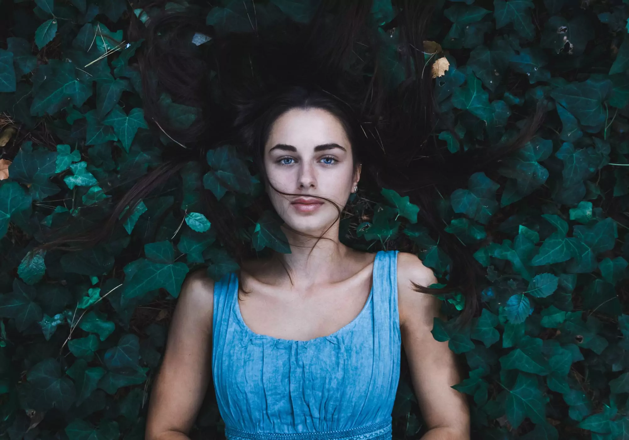 person-plant-girl-woman-hair-photography-680845-pxhere-65de327cb1a