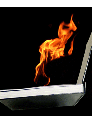 FIRE BOOK (Hot Book) by Premium Magic - Trick