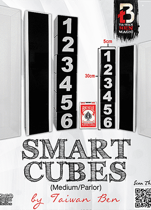 Smart Cubes (Medium / Parlor) by Taiwan Ben - Trick