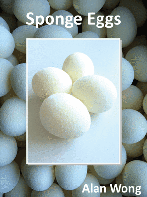 Sponge Eggs (4pk.) by Alan Wong - Trick