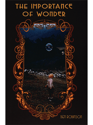 The Importance of Wonder by Ben Robinson - Book