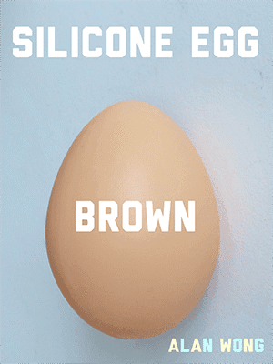 Silicone Egg (Brown) by Alan Wong - Trick