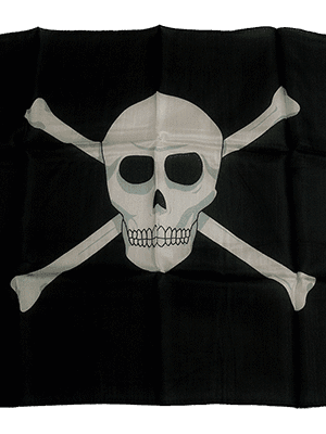 18 inch Skull Silk by Magic By Gosh