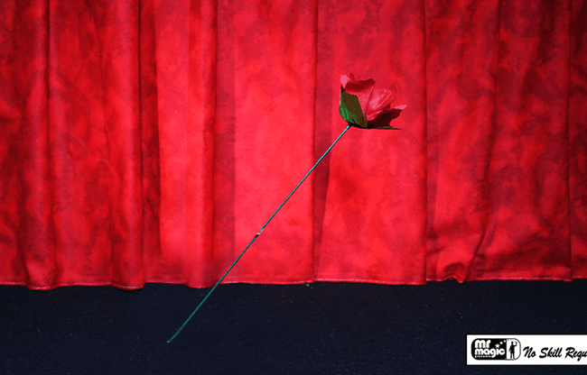 Torch to Rose by Mr. Magic - Trick