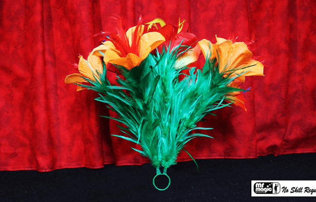 Classic Sleeve Bouquet Pair (6) Deluxe by Mr. Magic - Trick