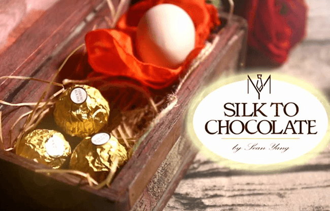 Silk to Chocolate (Ferrero Rocher) by Sean Yang