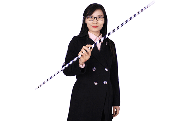 Appearing Cane (Plastic, BLACK & WHITE STRIPED) by JL Magic