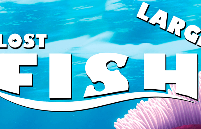 Lost Fish (Large) by Aprendemagia - Trick