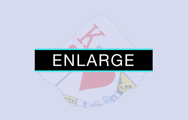 Enlarge (DVD and Gimmicks) by SansMinds - DVD