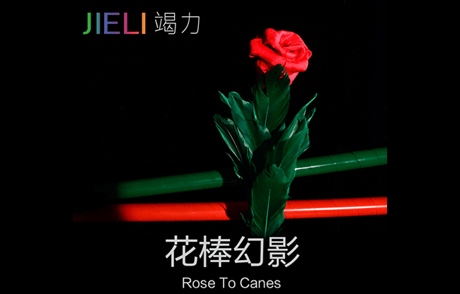 Rose to Canes by Jieli Magic - Trick