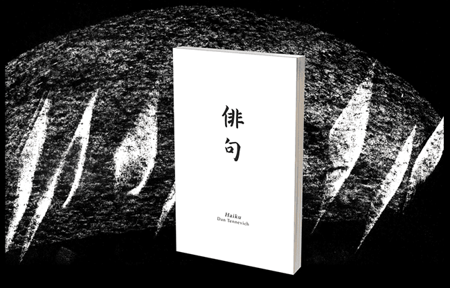 Haiku Book Test 2.0 by Vincent Hedan - Trick