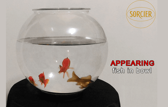APPEARING FISH IN BOWL by Sorcier Magic