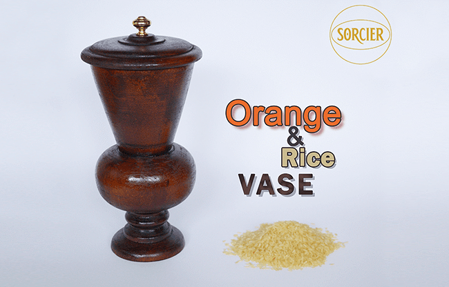 Orange and Rice Vase by Sorcier Magic