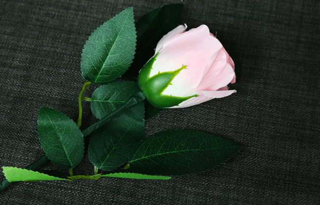 Rose Light set RED by JL Magic - Trick