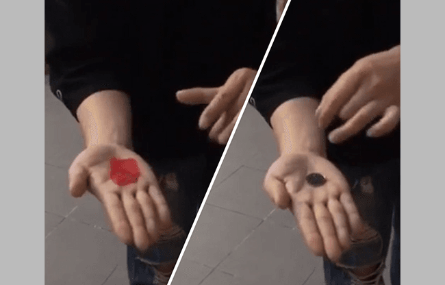 PETAL TO COIN by JL Magic - Trick