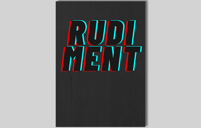 RUDIMENT by Chris Rawlins - Book