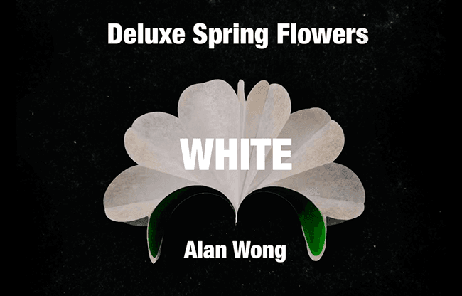 Deluxe Spring Flowers WHITE by Alan Wong - Trick