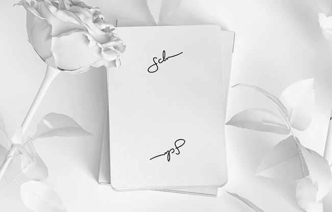 Daniel Schneider White Edition Playing Cards