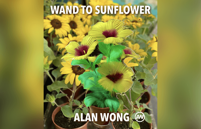 WAND TO SUNFLOWER LARGE by Alan Wong  - Trick