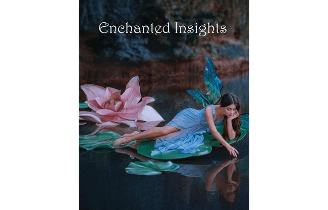 ENCHANTED INSIGHTS RED (French Instruction) by Magic Entertainment Solutions - Trick