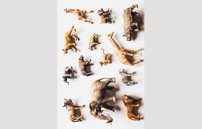 Noah's Ark Prop-less Animal Guess by Fraser Parker - Book