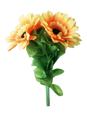 Amazing Split Sunflower by Premium Magic - Trick