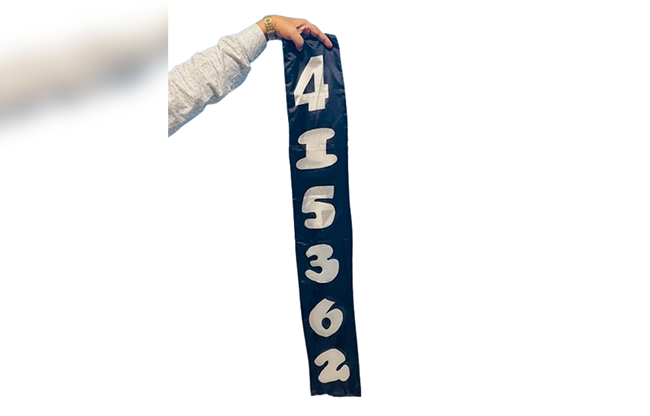 Jumbled Numbers by The Essel Magic