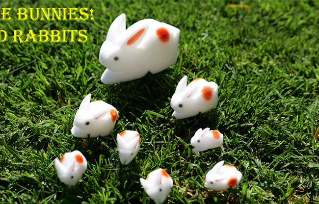 The Bunnies! 3D Rabbits (Parents, Kids & Grandpa)