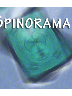 Spinorama by William Lee video DOWNLOAD