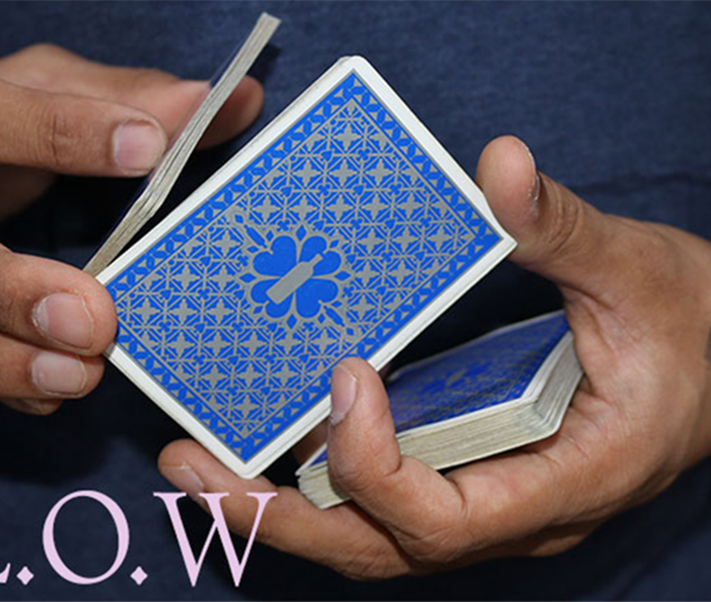 Magic Encarta Presents F.L.O.W by Vivek Singhi - Video DOWNLOAD