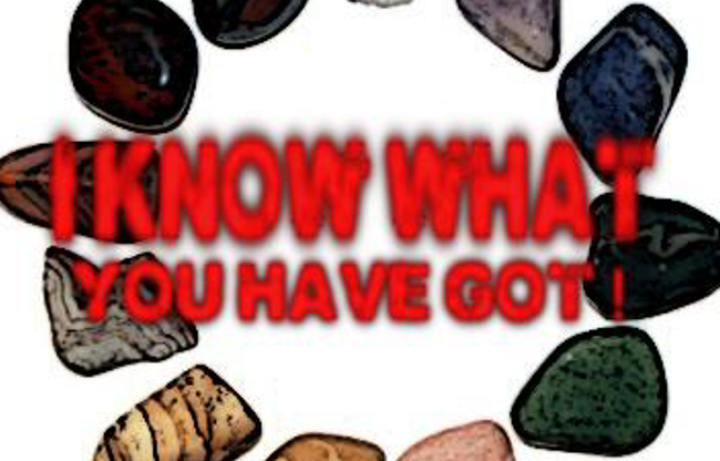 I know what you have got by Dan Alex eBook