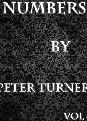 Numbers (Vol 6) by Peter Turner eBook DOWNLOAD