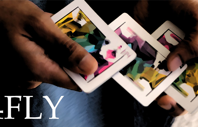 Magic Encarta Presents 4FLY by Vivek Singhi video DOWNLOAD