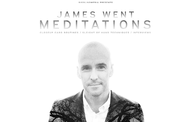 James Went's Meditations video DOWNLOAD