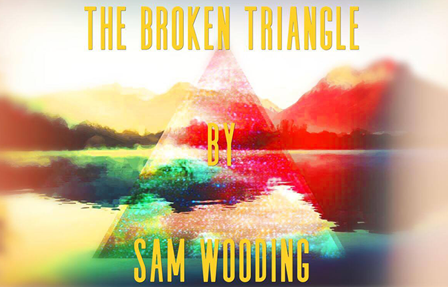 The Broken Triangle by Sam Wooding eBook DOWNLOAD