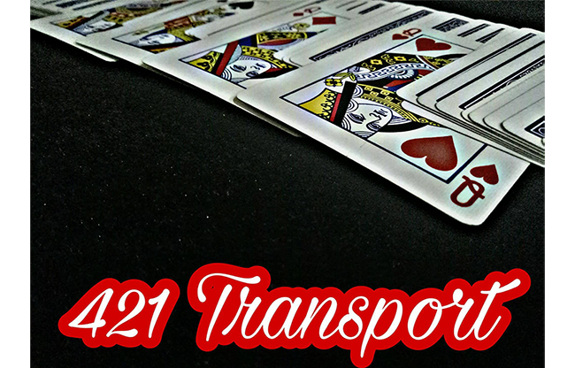 421 Transport by David Luu video DOWNLOAD