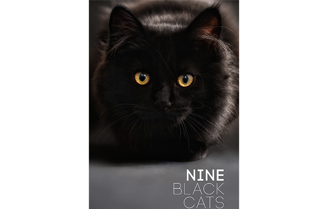 Nine Black Cats by Neema Atri eBook DOWNLOAD
