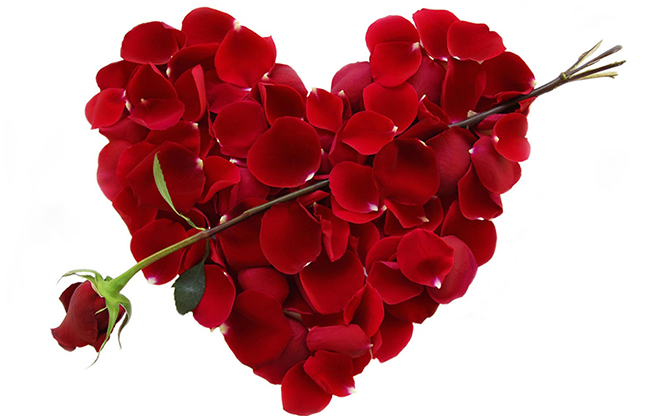 Valentine by Dynamite - video DOWNLOAD