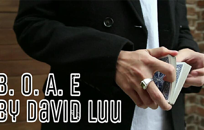 Blink Of An Eye by David Luu video DOWNLOAD