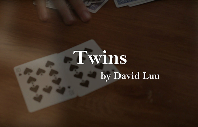 Twins by David Luu video DOWNLOAD
