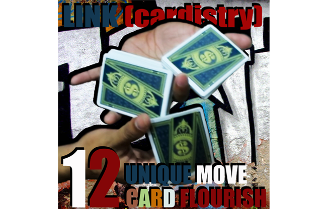 LINK (Cardistry Project) by SaysevenT video DOWNLOAD