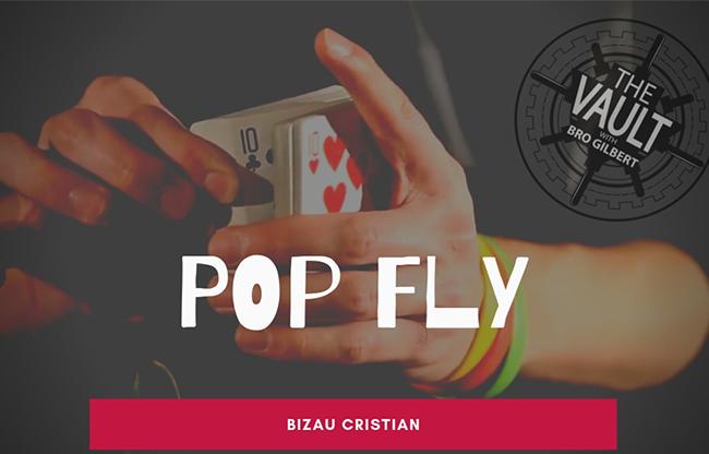 The Vault - Pop Fly by Bizau Cristian video DOWNLOAD