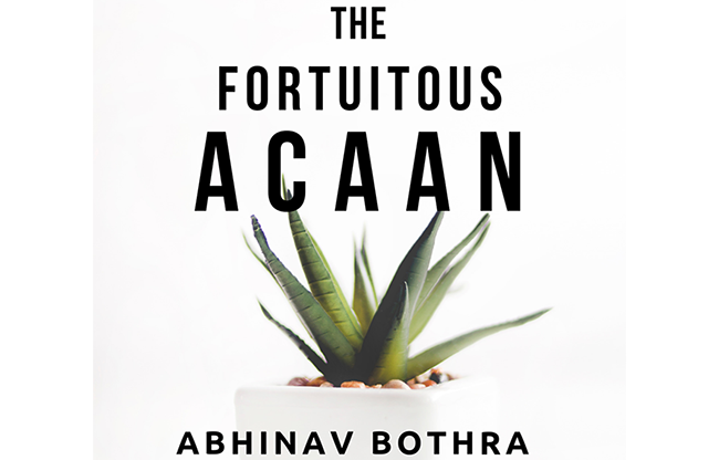 The Fortuitous ACAAN by Abhinav Bothra Mixed Media DOWNLOAD