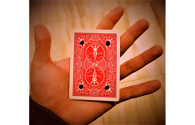 Hallucination by Sultan Orazaly video DOWNLOAD