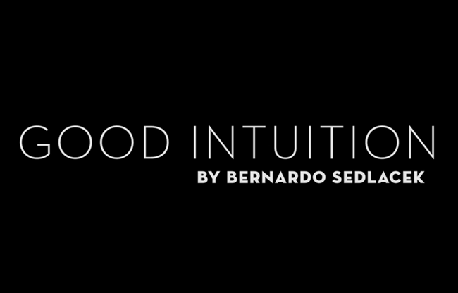 Good Intuition by Bernardo Sedlacek video DOWNLOAD