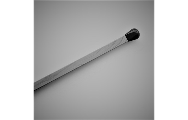 Regeneration by Sultan Orazaly video DOWNLOAD