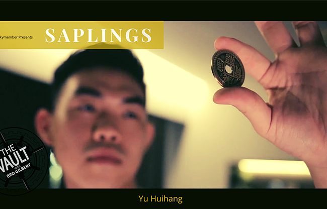 The Vault - Skymember Presents Saplings by Yu Huihang video DOWNLOAD