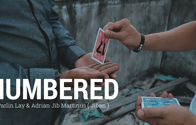 Numbered by Parlin Lay video DOWNLOAD